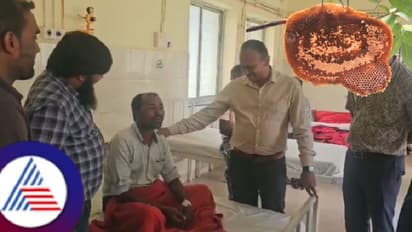 ಶವ ಸಂಸ್ಕಾರಕ್ಕೆ ತೆರಳಿದ್ದವರ ಮೇಲೆ ಹೆಜ್ಜೇನು ದಾಳಿ; 40ಕ್ಕೂ ಅಧಿಕ ಮಂದಿ ಗಾಯ!