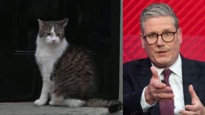 'സുനകായാലും കെയര് സ്റ്റാമര് ആയാലും, തന്റെ അധികാരം സേഫ്' അതാണ് ലാറി! ടെൻ ഡോണിംഗ് സ്ട്രീറ്റിലെ പൂച്ച കാര്യസ്ഥ