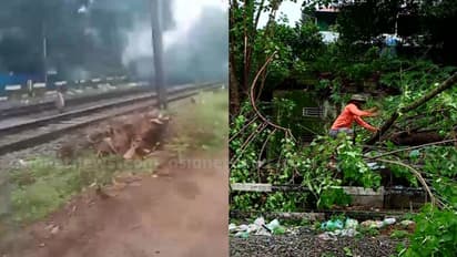 കൊച്ചിയിൽ റെയിൽവെ ട്രാക്കിലേക്ക് മരം ഒടിഞ്ഞു വീണു; വൈദ്യുതി ലൈനിൽ തട്ടി തീപിടിച്ചു; ഗതാഗതം പുനഃസ്ഥാപിച്ചു
