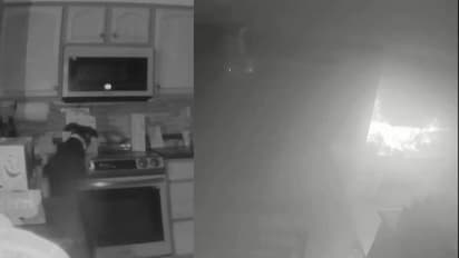 അർദ്ധരാത്രിയിൽ അടുക്കളയിലേക്ക് പതുങ്ങിയെത്തി നായ, സ്റ്റൗ ഓൺ ചെയ്തു, തീ പടർന്നു