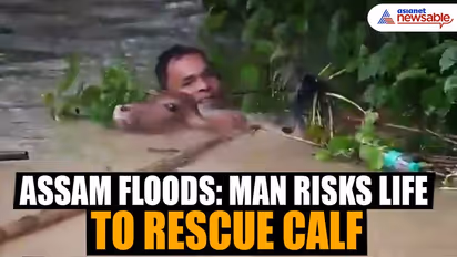 Assam floods: Man risks life to rescue calf, video goes viral (WATCH)