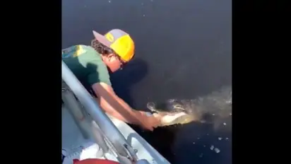 Viral Video Shows Man Using Alligator to Open Beer Can [WATCH]
