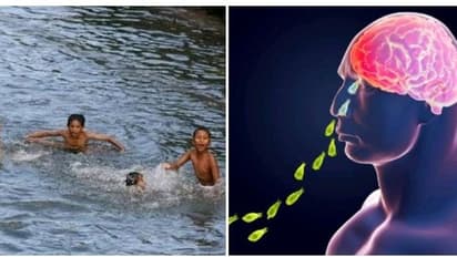 Amoeba : ஆற்றிலோ குளத்திலோ குளிக்க போறீங்களா.? காத்திருக்கிறது அமீபா.!! எச்சரிக்கும் தமிழக சுகாதாரத்துறை