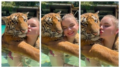 ഉമ്മ കൊടുക്കുവാണേല് ഇങ്ങനെ കൊടുക്കണം; കടുവയെ ചുംബിക്കുന്ന യുവതിയുടെ വീഡിയോ വൈറല്