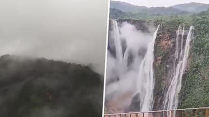 Karnataka: NWKRTC launches special monsoon tour package from Hubballi to Jog falls; check fares