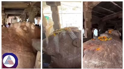 ಕಲಿಯುಗದ ಅಂತ್ಯವನ್ನು ಹೇಳಲಿದೆ ಕಲ್ಲಿನ ನಂದಿ, ಅದೆಲ್ಲಿದೆ ಅಂತ ಗೊತ್ತಾದ್ರೆ ನೀವು ಸುಮ್ನೆ ಇರಲ್ಲ!