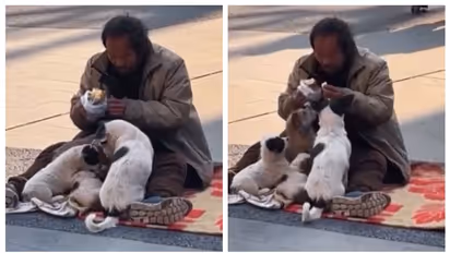 'ഹൃദയത്താൽ സമ്പന്നനാണ് മനുഷ്യൻ'; തന്റെ ഭക്ഷണത്തിൽ നിന്നും നായ്ക്കൾക്ക് ഭക്ഷണം നൽകുന്നയാളുടെ വീഡിയോ വൈറൽ