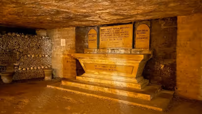 Paris 2024 Olympic Games: 5 Unique Activities to Experience in Paris