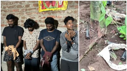 ആട് ഫാം തുടങ്ങുന്നതിനെടുത്ത വീട്, 14 ചെറിയ കുപ്പികളിലായി മണ്ണിൽ കുഴിച്ചിട്ട 'രഹസ്യം'; പുറത്തെടുത്ത് എക്സൈസ്