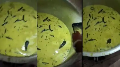  ദോശയ്ക്ക് ഒപ്പം വിളമ്പാന്‍ കൊണ്ട് വന്നത് ചട്‌നി, പാത്രം തുറന്നപ്പോള്‍ കണ്ടത് ചട്‌നിയില്‍ നീന്തി നടക്കുന്ന എലി