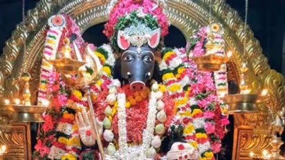 இன்று ஆடி மாதம் தேய்பிறை பஞ்சமி..  வாராஹி அம்மனை இப்படி வழிபடுங்க..கேட்டது கிடைக்கும்!