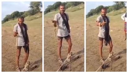 എന്തൊക്കെ കാണണം?; യുപിയില് നിന്നും ജീവനുള്ള പാമ്പിനെ കടിച്ച് തിന്നുന്നയാളുടെ വീഡിയോ വൈറൽ