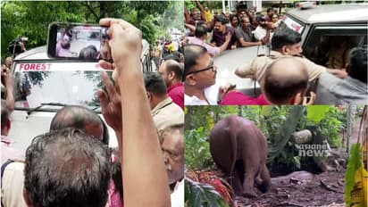 മലയാറ്റൂരിൽ കിണറ്റിൽ വീണ കുട്ടിയാനയെ രക്ഷപ്പെടുത്തി അമ്മയാന; ആനശല്യം രൂക്ഷമെന്ന് നാട്ടുകാർ, പ്രതിഷേധം