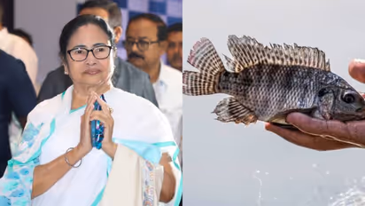  Mamata Banerjee Clarifies: Tilapia Fish Poses No Cancer Risk