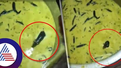 ವಿದ್ಯಾರ್ಥಿಗಳಿಗೆ ಸಿದ್ಧಪಡಿಸಿದ್ದ ಚಟ್ನಿಯಲ್ಲಿ ಮುಳುಗೇಳುತ್ತಾ ಈಜಾಡಿದ ಇಲಿ: ವೀಡಿಯೋ ವೈರಲ್