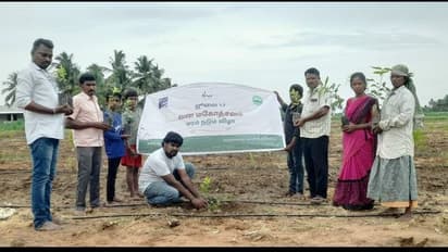 வன மகோத்சவம்: ஒரே வாரத்தில் 1.52 லட்சம் மரக்கன்றுகளை நட்டு சாதனை படைத்த 'காவேரி கூக்குரல்' இயக்கம்!