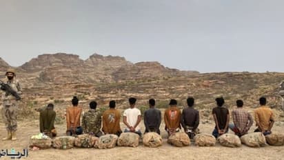 വധശിക്ഷ വരെ കിട്ടുന്ന കുറ്റം, പ്രവാസികൾ ഉൾപ്പെടെ 15 പേര് പിടിയിൽ, ഖാത് ചെടി, മയക്കുമരുന്നും പിടിച്ചത് സൗദിയിൽ