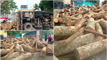 ദേശീയ പാതയിൽ തടി ലോറി മറിഞ്ഞു, റോഡിൽ തടിക്കഷ്ണങ്ങൾ, വൈറ്റില ഇടപ്പള്ളി റൂട്ടിൽ ഗതാഗത നിയന്ത്രണം