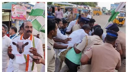 தலைவர்கள் இடையே முற்றும் வார்த்தை போர்; ஆட்டு குட்டியின் உருவபொம்மையை எரித்து காங்கிரஸ் போராட்டம்