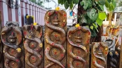 Kala Sarpa Dosha: ராகு கேது.. உங்க ஜாதகத்தில் கால சர்ப்ப தோஷம் இருக்கா? பரிகாரம் என்ன?