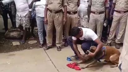 എട്ടുവയസ്സുകാരിയെ കാണാതായി, പ്രതികളെ മണത്തറിഞ്ഞത് പൊലീസ് നായ, മൂന്നും സ്കൂള് വിദ്യാര്ഥികള്