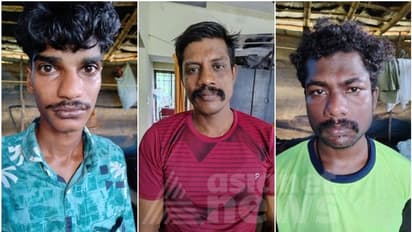 പൊലീസിന്‍റെ രഹസ്യ നീക്കം; 30 കിലോ കഞ്ചാവുമായി കാപ്പ കേസ് പ്രതി ഉൾപ്പെടെ 3 പേർ പിടിയിൽ
