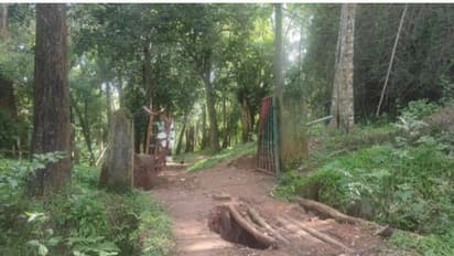 ആദ്യം വനംവകുപ്പിന്റെ ഗേറ്റിനിട്ട് 'പണി', പിന്നെ നാട്ടുകാര്ക്കും; നൂല്പ്പുഴയില് കാട്ടാനശല്യം രൂക്ഷം