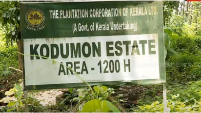 ശബരിമല ഗ്രീൻഫീൽഡ് വിമാനത്താവളം; സ്ഥലം ഏറ്റെടുക്കാൻ 2 ഘട്ടമായി റവന്യൂ സർവേ, 8 സർവേയർമാർ, അടുത്തയാഴ്ച തുടങ്ങും