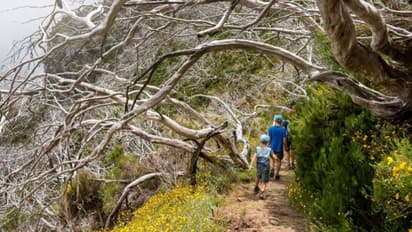 Essential Trekking Gear: 7 Items You Must Carry