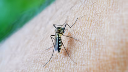 Zika Virus: Centre Issues Advisory to States Following Zika Virus Cases in Maharashtra