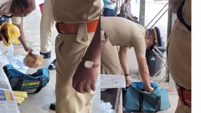 ശബരി എക്സ്പ്രസിൽ ഉപേക്ഷിക്കപ്പെട്ട നിലയിൽ ബാഗ്, പൊലീസും ആർപിഎഫും പരിശോധിച്ചു; പിടിച്ചെടുത്തത് 5കിലോ കഞ്ചാവ്