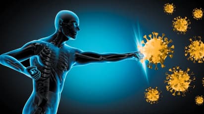 Health Tips :  പ്രതിരോധശേഷി കൂട്ടിയാൽ രോ​ഗങ്ങളെ അകറ്റാം ; ശ്രദ്ധിക്കാം നാല് കാര്യങ്ങൾ 