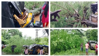 ഓട്ടോറിക്ഷക്ക് മുകളിലേക്ക് മരക്കൊമ്പൊടിഞ്ഞ് വീണു; രണ്ട് ബൈക്കുകൾക്കും കേടുപാട്, 4 പേർക്ക് പരിക്ക്