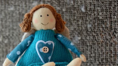 Success Story: Couple Thrives with Rs 75 Lakh from Rag Doll Business