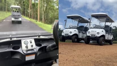 ഇവിടെയെത്തിയാൽ ബഗ്ഗി കാറുകളില് കാട്ടിലൂടെ പോകാം, ആമ പാര്ക്കിലിറങ്ങാം, പിന്നെ പക്ഷി നിരീക്ഷണവും