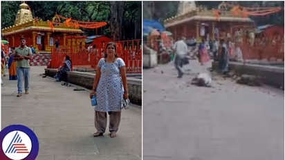 ತಿರುಪತಿ ತಿಮ್ಮಪ್ಪನ ದರ್ಶನಕ್ಕೆ ಹೋದ ಬೆಂಗಳೂರು ಮಹಿಳೆ ಮೇಲೆ ಬಿದ್ದ ಮರದ ಕೊಂಬೆ; ಗಂಭೀರ ಗಾಯ