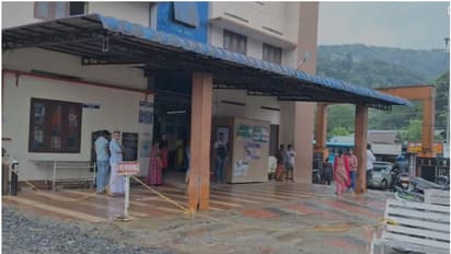 ഇടുക്കി അടിമാലിയിൽ മരം കടപുഴകി വീണു തോട്ടം തൊഴിലാളിയ്ക്ക് ദാരുണാന്ത്യം