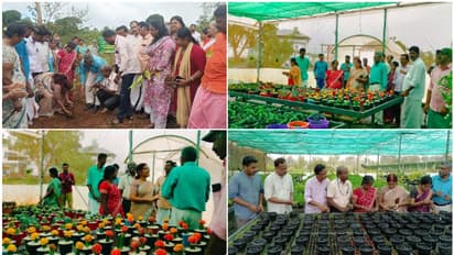 ആഹാ മനോഹരം! നെല്ലിയാമ്പതിയിൽ അടിച്ചു കേറി 'വിദേശി പഴം', 2023 ഏപ്രിലിൽ ഒന്നിച്ച് നട്ട 450 ഡ്രാഗൺ ഫ്രൂട്ട് വിളവ്