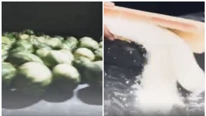 പോർട്ട് വഴിയെത്തിയ പെട്ടി, പലക പൊട്ടിച്ചപ്പോൾ നിറയെ വെള്ളപ്പൊടി; കടത്തിയത് കോടികൾ വിലയുള്ള ക്രിസ്റ്റൽമെത്ത്