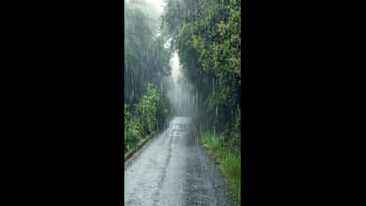 Karnataka: IMD issues 'red' alert to coast, Malenadu regions; Light rainfall for Bengaluru until August 3