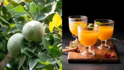 Refreshing and Healthy: How to Make Bael Sharbat for Summer