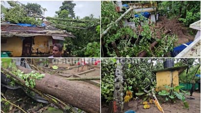 തൃശൂരിൽ വീണ്ടും മിന്നൽ ചുഴലി, സെക്കന്റുകൾ മാത്രം ദൈർഘ്യം, നിമിഷനേരത്തിൽ മരങ്ങൾ കടപുഴകി, വീട് തകർന്നു  
