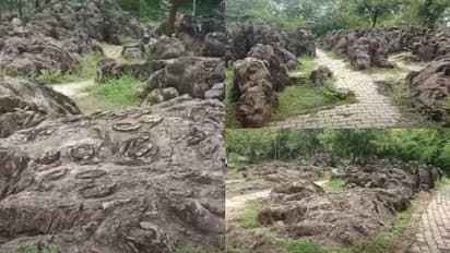 650 ദശലക്ഷം വര്‍ഷം പഴക്കമുളള ശേഷിപ്പുകൾ; ലോക പൈതൃക പട്ടികയിൽ ഇടം പിടിക്കാൻ സല്‍ഖാന്‍ ഫോസില്‍ പാര്‍ക്ക്