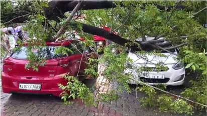 ബംഗാൾ ഉൾക്കടലിൽ ന്യൂനമർദം, ശക്തിപ്രാപിച്ച് കാലവർഷക്കാറ്റ്; വ്യാപക നാശനഷ്ടം, 5 ദിവസം അതിശക്തമായ മഴ തുടരും