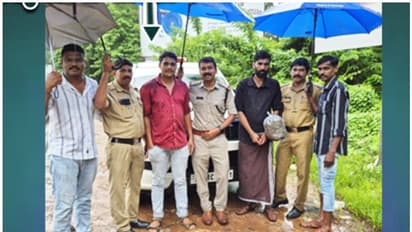 ബസ് സ്റ്റാൻഡും പ്രദേശത്തെ വിദ്യാഭ്യാസ സ്ഥാപനങ്ങളുമാണ് ലക്ഷ്യം; ഏറനാട് സ്വദേശിയെ കഞ്ചാവുമായി പിടികൂടി എക്സൈസ്