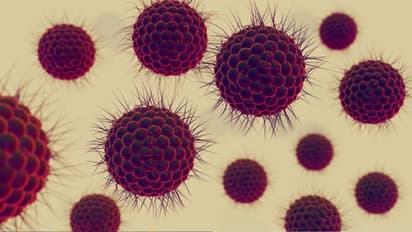 दिमाग में सूजन बढ़ा रहा है चांदीपुरा वायरस, बारिश में ऐसे रखें बच्चों को सुरक्षित