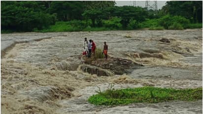 ചിറ്റൂരിൽ പുഴയിൽ കുളിക്കാനിറങ്ങിയ നാലു പേർ കുടുങ്ങി; മന്ത്രിയും സംഘവും സ്ഥലത്ത്, രക്ഷാപ്രവർത്തനം തുടങ്ങി