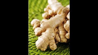 இஞ்சி vs சுக்கு : எது உடலுக்கு ஏற்றது தெரியுமா?