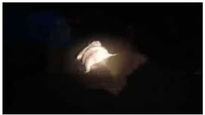 ಕುಕ್ಕೆ ಸುಬ್ರಹ್ಮಣ್ಯದಲ್ಲಿ ವಿಪರೀತ ಮಳೆ, ಕುಮಾರಧಾರ ನದಿಯಲ್ಲಿ ತೇಲಿಬಂದ ಆನೆಯ ಮೃತದೇಹ!