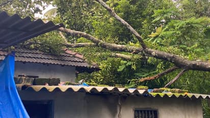 മരം വീണു വീട് തകർന്നു; ഉറങ്ങിക്കിടന്ന പിഞ്ചുകുട്ടികൾ ഉൾപ്പെടെയുള്ളവർ അത്ഭുതകരമായി രക്ഷപ്പെട്ടു